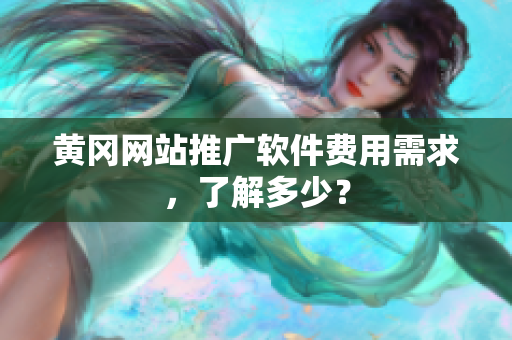 黄冈网站推广软件费用需求，了解多少？