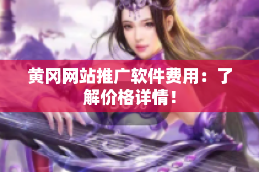 黄冈网站推广软件费用：了解价格详情！
