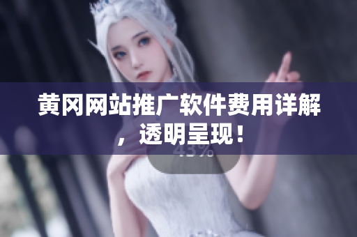 黄冈网站推广软件费用详解，透明呈现！