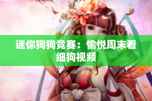迷你狗狗竞赛：愉悦周末看细狗视频