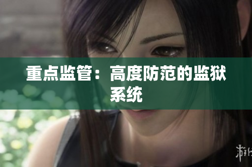 重点监管：高度防范的监狱系统