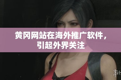 黄冈网站在海外推广软件，引起外界关注