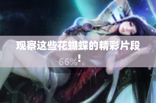 观察这些花蝴蝶的精彩片段！