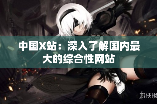 中国X站：深入了解国内最大的综合性网站