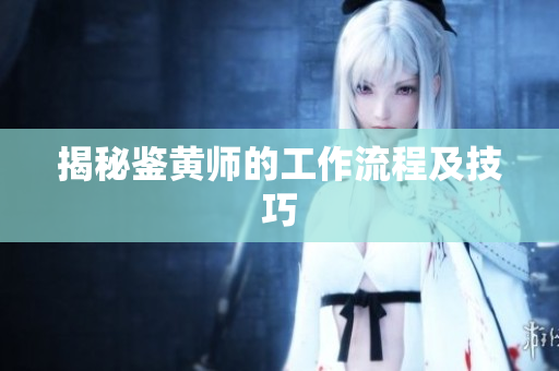 揭秘鉴黄师的工作流程及技巧