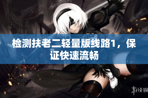 检测扶老二轻量版线路1，保证快速流畅