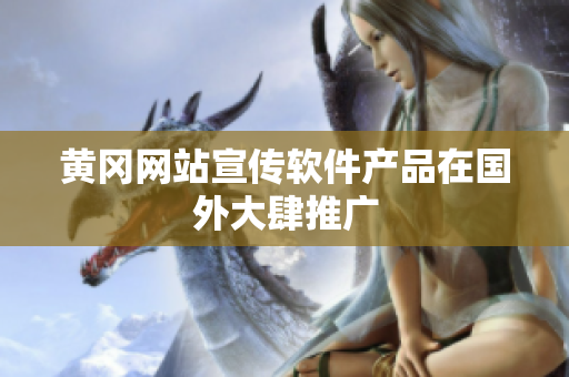 黄冈网站宣传软件产品在国外大肆推广