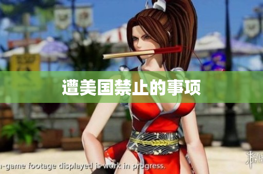 遭美国禁止的事项