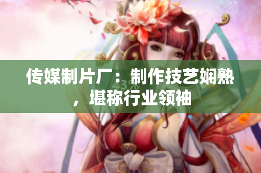 传媒制片厂：制作技艺娴熟，堪称行业领袖