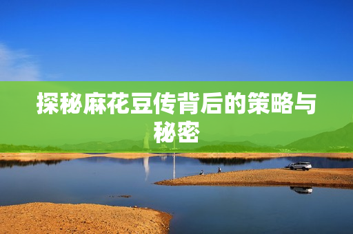 探秘麻花豆传背后的策略与秘密