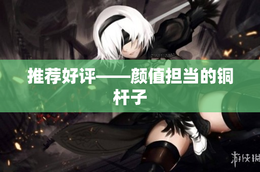 推荐好评——颜值担当的铜杆子