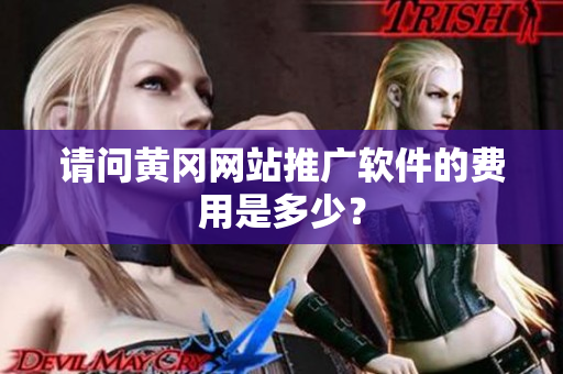 请问黄冈网站推广软件的费用是多少？