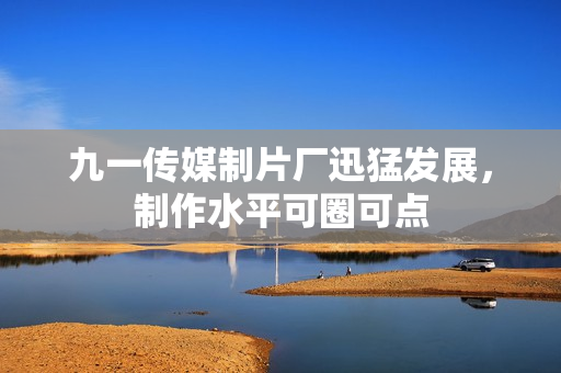 九一传媒制片厂迅猛发展，制作水平可圈可点
