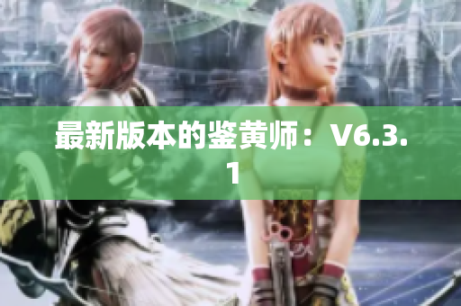 最新版本的鉴黄师：V6.3.1