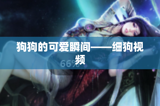 狗狗的可爱瞬间——细狗视频