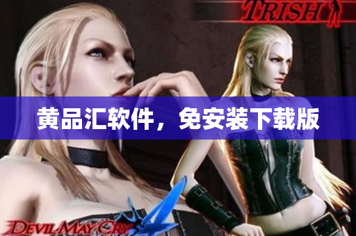 黄品汇软件，免安装下载版