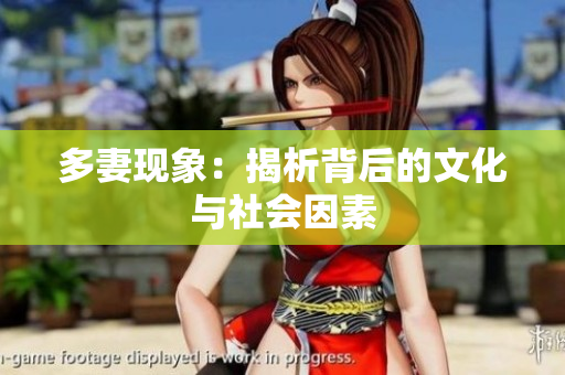 多妻现象：揭析背后的文化与社会因素