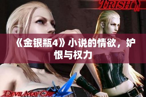 《金银瓶4》小说的情欲，妒恨与权力