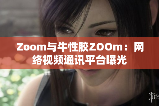 Zoom与牛性胶ZOOm：网络视频通讯平台曝光