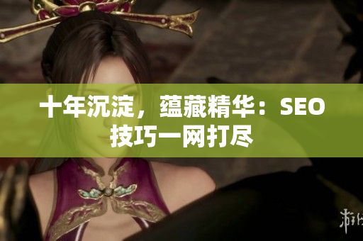 十年沉淀，蕴藏精华：SEO技巧一网打尽