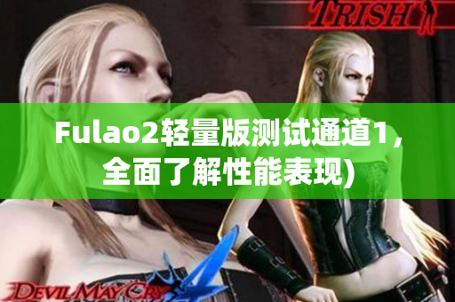 Fulao2轻量版测试通道1，全面了解性能表现)