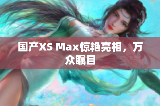 国产XS Max惊艳亮相，万众瞩目
