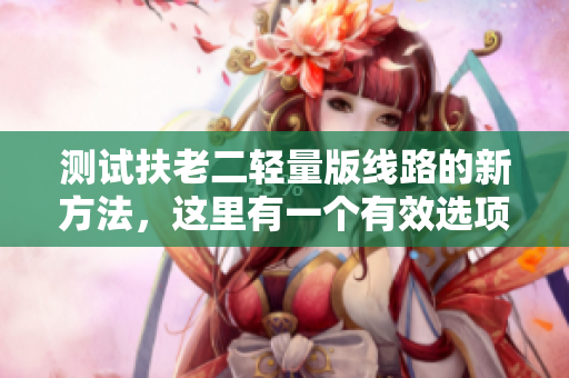 测试扶老二轻量版线路的新方法，这里有一个有效选项！