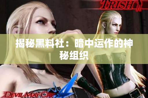 揭秘黑料社：暗中运作的神秘组织
