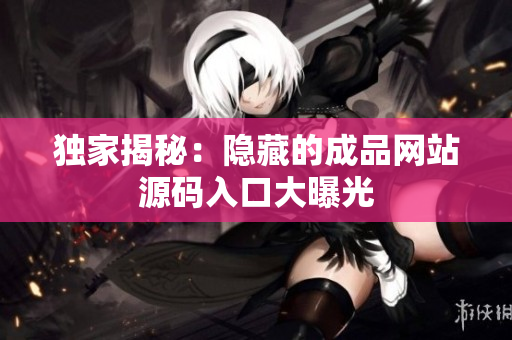 独家揭秘：隐藏的成品网站源码入口大曝光