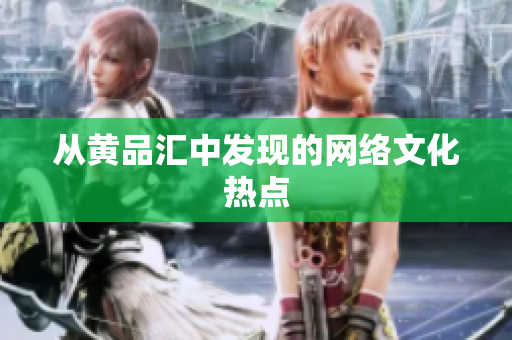 从黄品汇中发现的网络文化热点