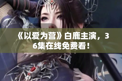 《以爱为营》白鹿主演，36集在线免费看！