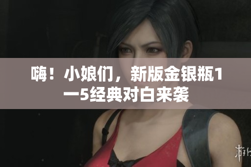 嗨！小娘们，新版金银瓶1一5经典对白来袭