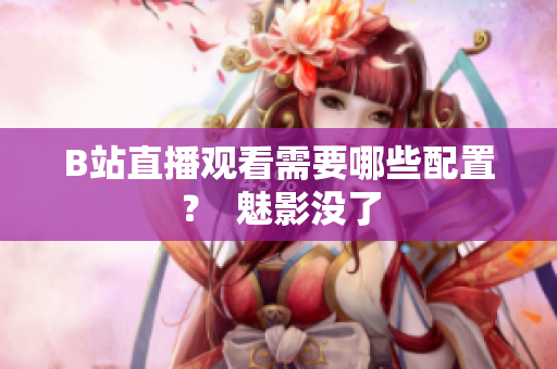 B站直播观看需要哪些配置？  魅影没了