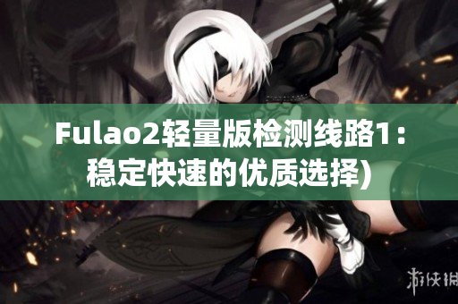 Fulao2轻量版检测线路1：稳定快速的优质选择)