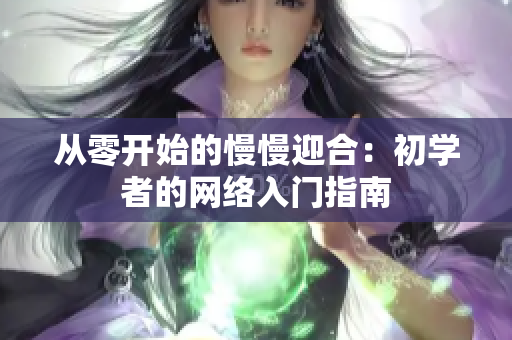 从零开始的慢慢迎合：初学者的网络入门指南