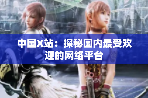 中国X站：探秘国内最受欢迎的网络平台