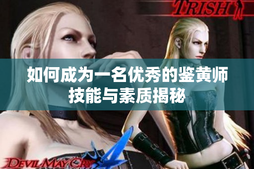 如何成为一名优秀的鉴黄师技能与素质揭秘