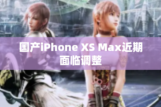 国产iPhone XS Max近期面临调整