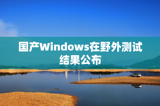 国产Windows在野外测试结果公布