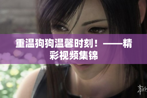 重温狗狗温馨时刻！——精彩视频集锦