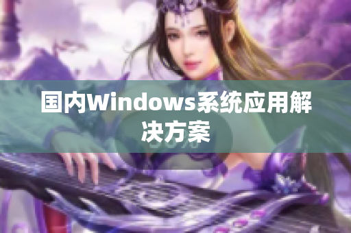 国内Windows系统应用解决方案