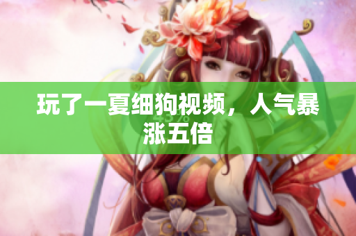 玩了一夏细狗视频，人气暴涨五倍