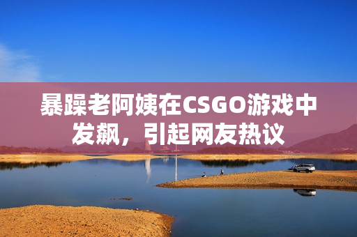 暴躁老阿姨在CSGO游戏中发飙，引起网友热议