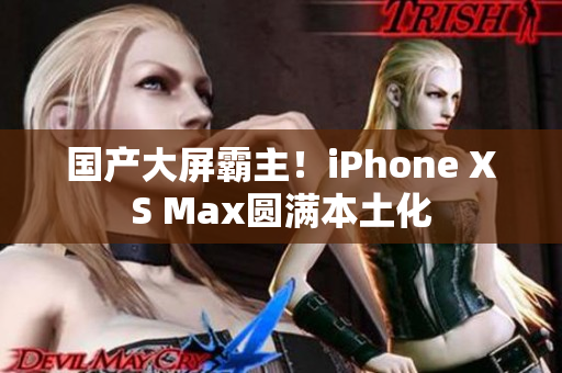 国产大屏霸主！iPhone XS Max圆满本土化