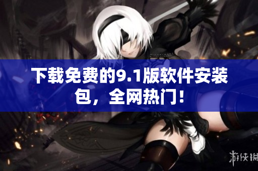 下载免费的9.1版软件安装包，全网热门！