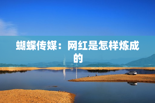 蝴蝶传媒：网红是怎样炼成的