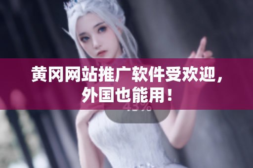 黄冈网站推广软件受欢迎，外国也能用！