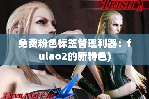 免费粉色标签管理利器：fulao2的新特色)