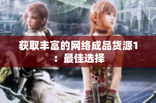 获取丰富的网络成品货源1：最佳选择