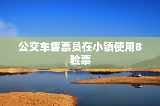 公交车售票员在小镇使用B验票